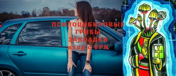 а пвп мука Алзамай
