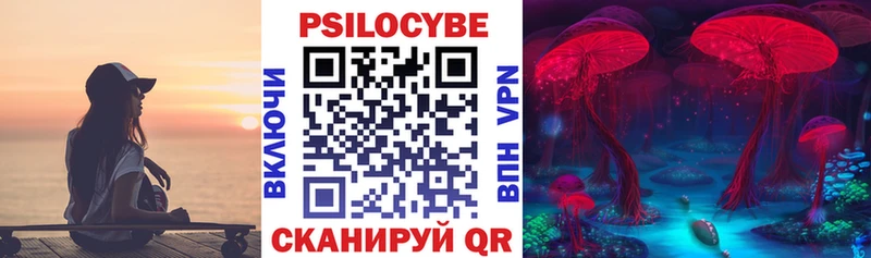 Псилоцибиновые грибы Cubensis  Истра 