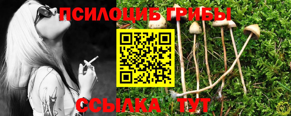 Псилоцибиновые грибы Magic Shrooms Истра